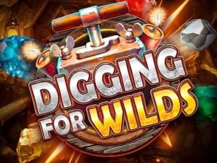 Digging For Wilds game icon